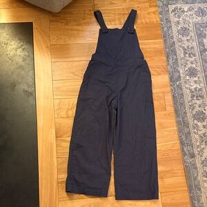 Navy Blue Patagonia Overalls